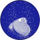 2fb71538cb5c.png