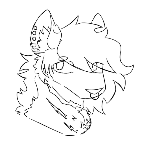 IMG 1599.png