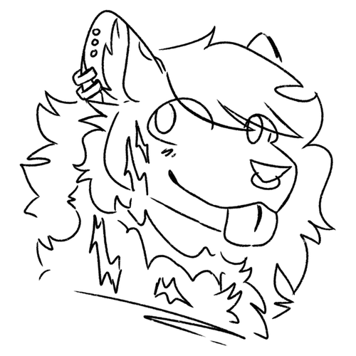 IMG 1601.png
