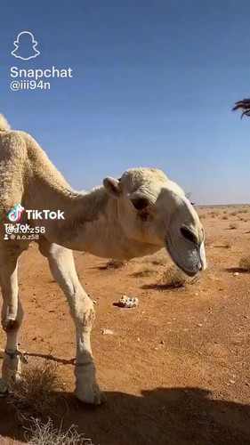 FTEx0mbhjwdJisvH.jpg