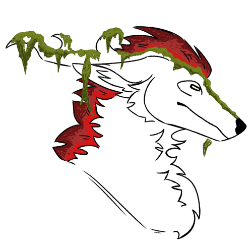 IMG 1597.png