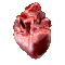 1000021801.gif