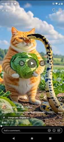 Screenshot 20250409 100229.png
