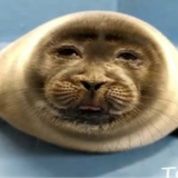 Untitled50 20250409105932.png