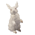 1000021957.gif