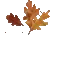 1000021961.gif