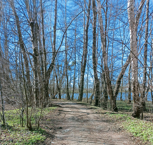 IMG 20250408 152302.jpg