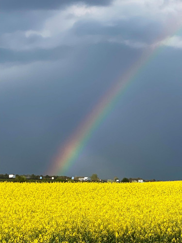 GoG3hwuXgAAtEBL.jpg