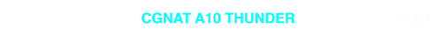 CGNAT 10 TRANSPARENTE.png