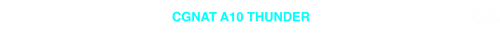 CGNAT 10 TRANSPARENTE.png