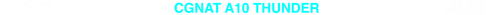 CGNAT 10 TRANSPARENTE.png