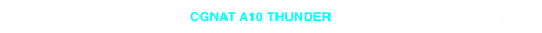 CGNAT 10 TRANSPARENTE.png
