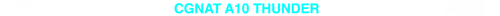 CGNAT 10 TRANSPARENTE.png