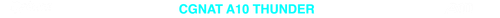 CGNAT 10 TRANSPARENTE.png