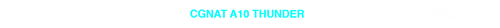 CGNAT 10 TRANSPARENTE.png