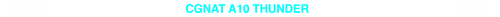 CGNAT 10 TRANSPARENTE.png