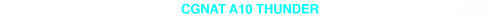 CGNAT 10 TRANSPARENTE.png