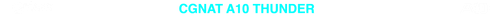 CGNAT 10 TRANSPARENTE.png