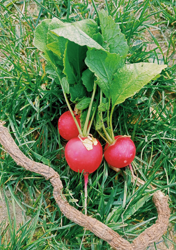 IMG 20240429 092203.jpg