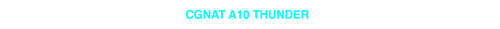 CGNAT 10 TRANSPARENTE.png