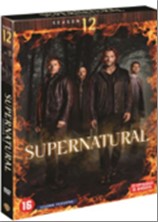 imgSUPERNATURALSAISON12.jpg