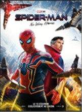 imgSPIDERMANNOWAYHOME.jpg