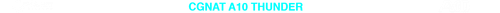 CGNAT 10 TRANSPARENTE.png