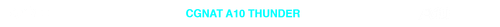 CGNAT 10 TRANSPARENTE.png