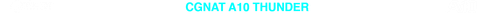 CGNAT 10 TRANSPARENTE.png