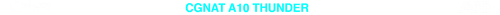CGNAT 10 TRANSPARENTE.png