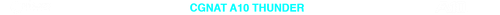 CGNAT 10 TRANSPARENTE.png