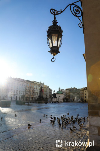 GoE95NmW8AAYv7z.jpg