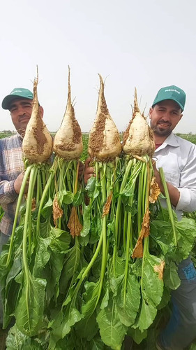 c3neVNkJ 9lpQhCJ.jpg