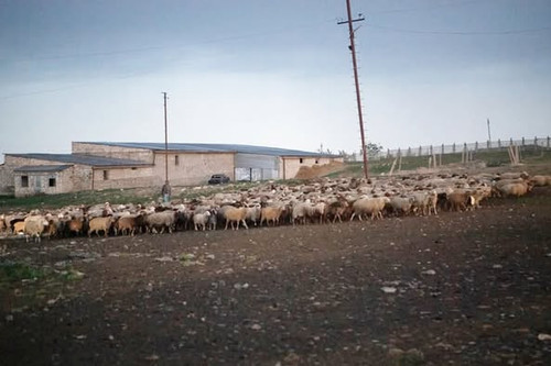 490377095 1090833603073681 3532137638331778889 n.jpg?stp=dst jpg p526x395 tt6& nc cat=105&ccb=1 7& n.jpg