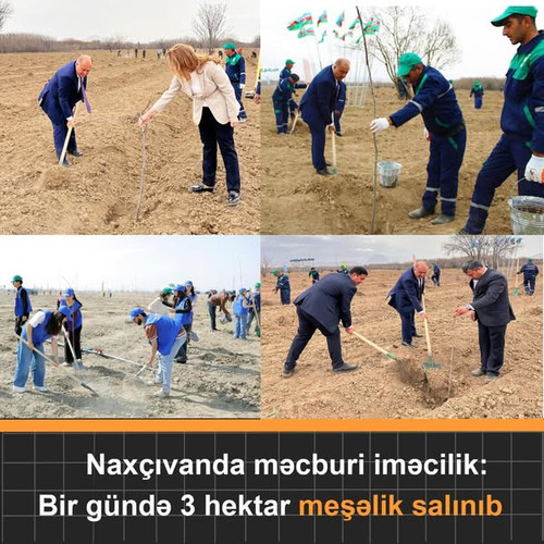 490301482 682548914275314 2558297924390667530 n.jpg?stp=dst jpg s600x600 tt6& nc cat=100&ccb=1 7& nc.jpg