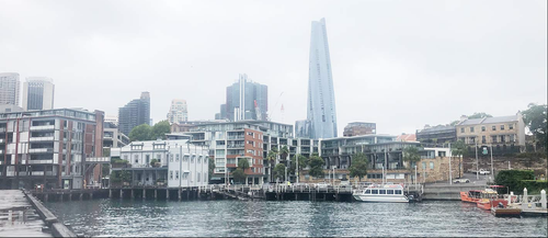 Bid and Tender Management - Madrigal Communications.png