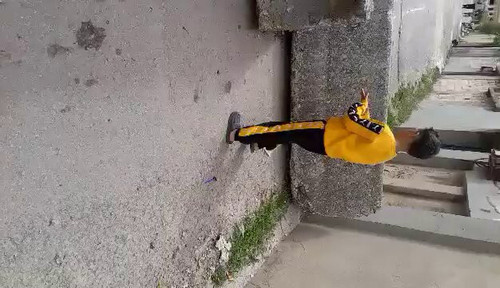 TLW n7 yQE6mqLMz.jpg