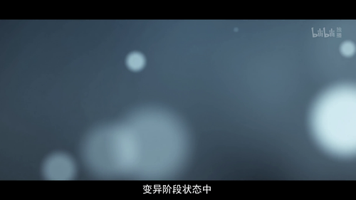 20250410 151645 972581.png