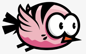 images (1).png