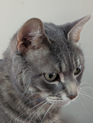 487943316 122242866374029369 9070919220700533561 n.jpg