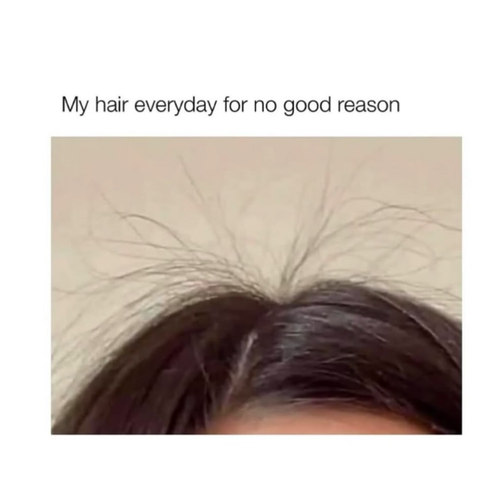 girly meme 35 720.png