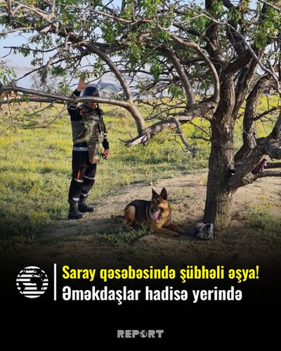 487792085 972541711753884 8953821358887746817 n.jpg?stp=dst jpg s640x640 tt6& nc cat=100&ccb=1 7& nc.jpg