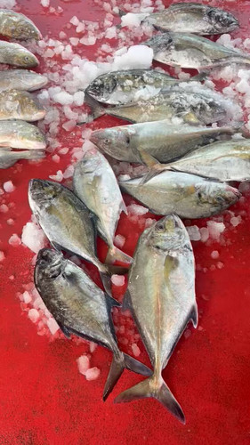 E5hJ wA2n0I1JnXG.jpg