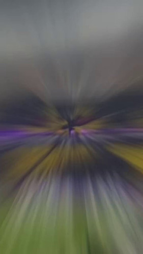 7izQh5JzVtNg0vrX.jpg