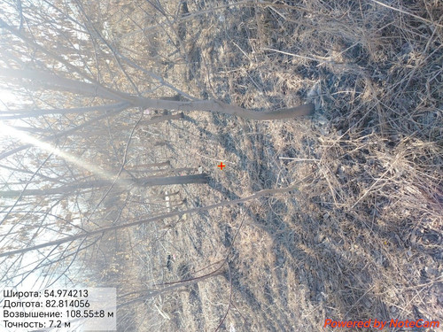 1000176372.jpg