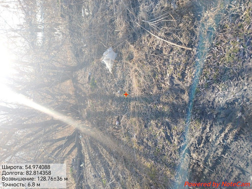 1000176385.jpg