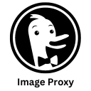 Image Proxy.png