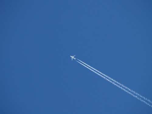 file.jpg