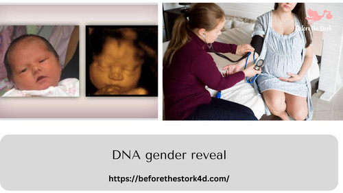 DNA gender reveal.jpg