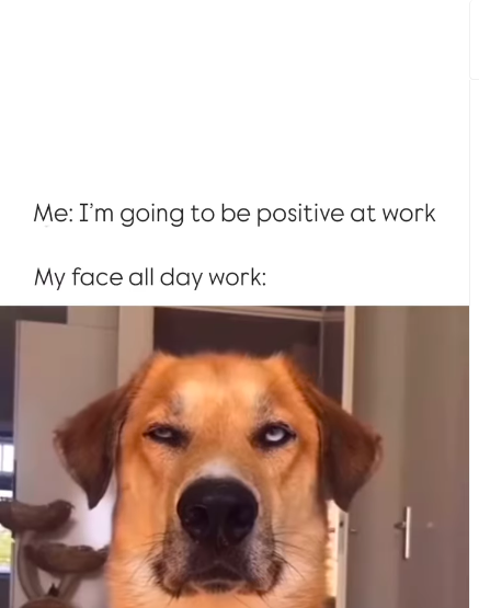 Screenshot 2025 04 09 at 11.35.52 AM.png